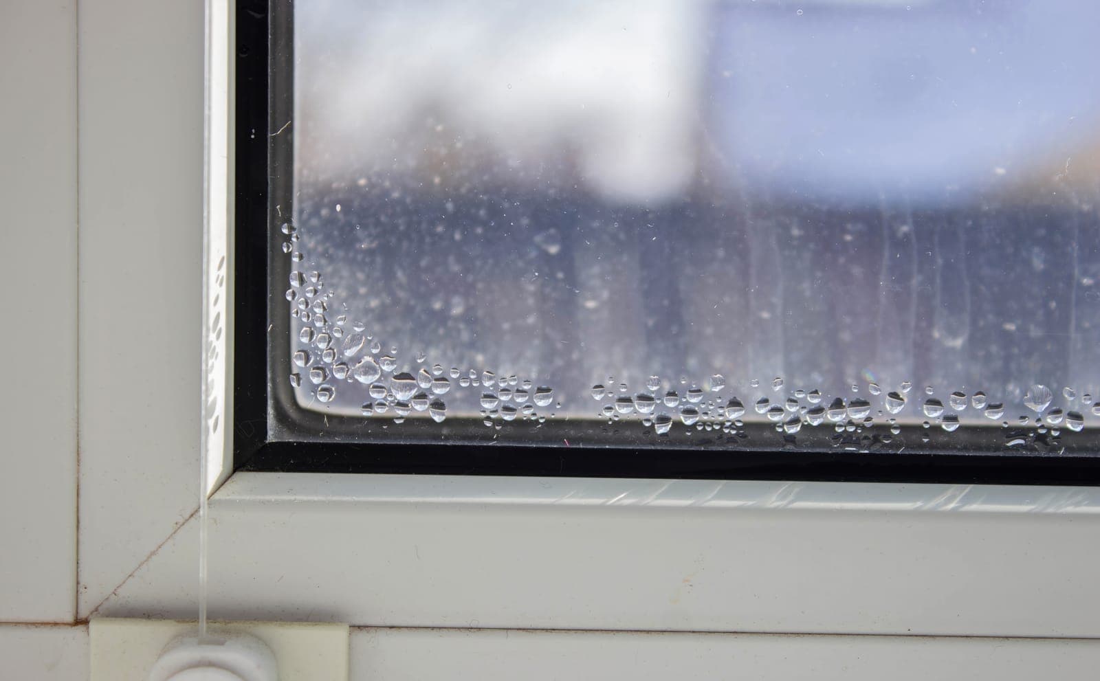 Condensation on a home window from high indoor humidity