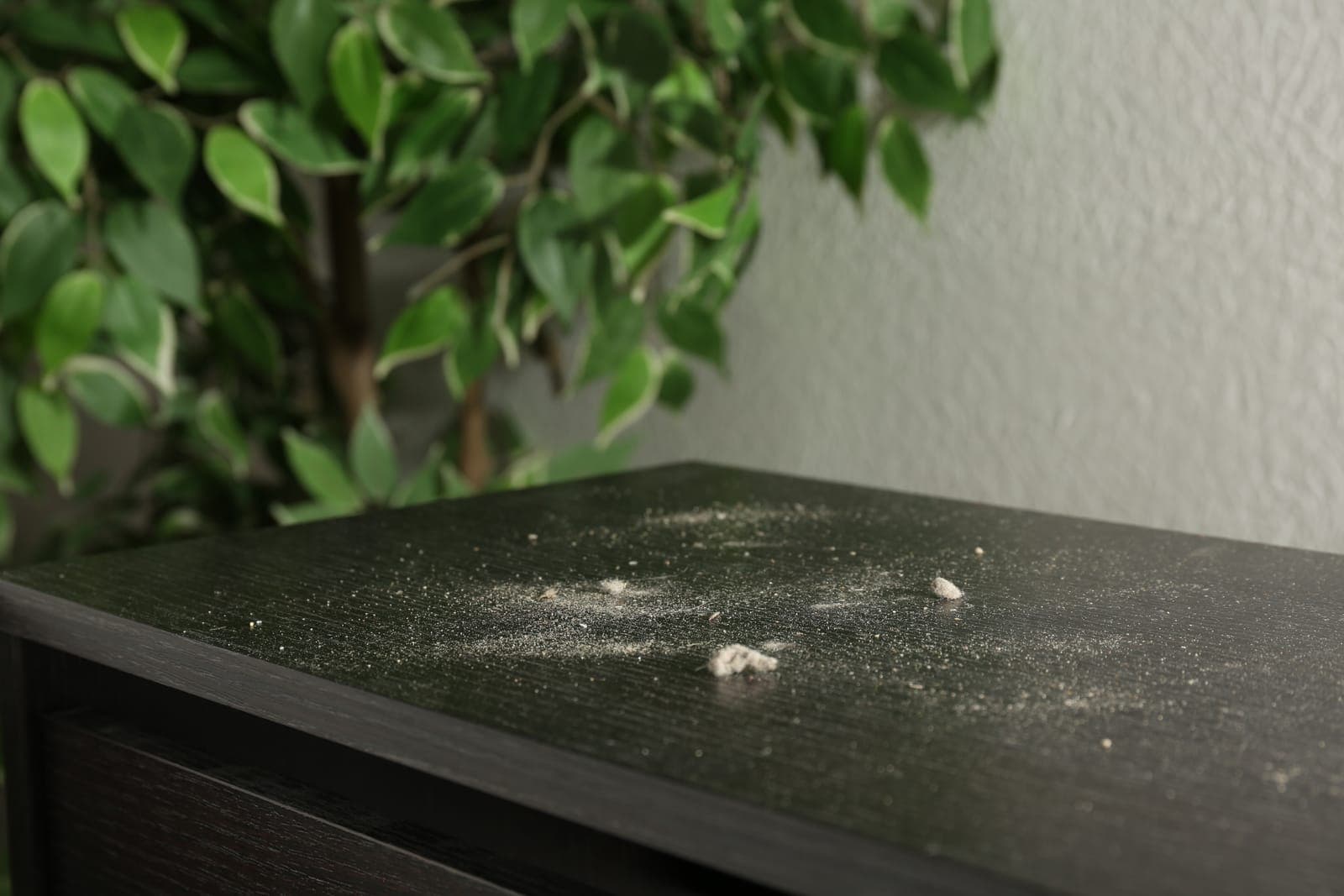 A layer of dust collected on a dark wooden surface in a home